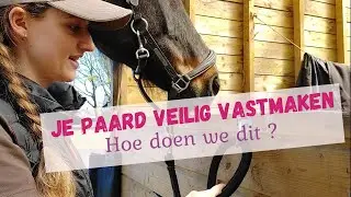 HOE ZETTEN WE VEILIG ONS PAARD VAST? WAT IS EEN PAARDENKNOOP - EN HOE MAKEN WE DE KNOOP?