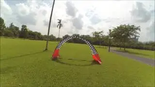 rYu testing ZMX Fusion X25 2206 2300kv outdoor 9th Sept 2016