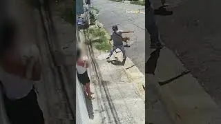 Cachorro da ra&ccedil;a pitbull ataca c&atilde;o na coleira e assusta tutora em S&atilde;o Paulo