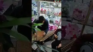 ayva ciçek açmış neşem müzik