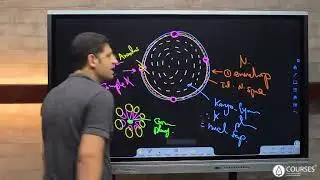 ملخص شرح نواة الخلية هستولوجي 😎🔬 Histology Nucleus 