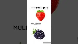 Examples of false fruits are apple, pineapple,fig,pear, jackfruit, mulberry, strawberry etc.