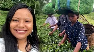 A Tour To My Tea Garden || Tea Garden Vlog || Assam Tea😊