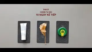 tarot: chọn tụ bài: 10 ngày kế tiếp