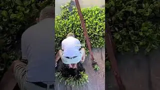 Waterdamp water stopped by grass/#shortvideo #shorts #viral #shortsviral
