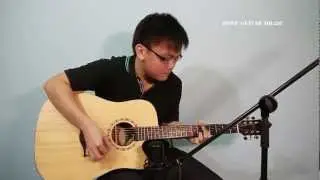 Dove Guitar DD-22C