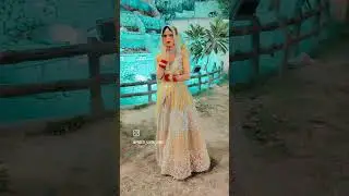 Kabootri #shorts #video_viral #wife #hubby #husband #cauplestatus #marriage