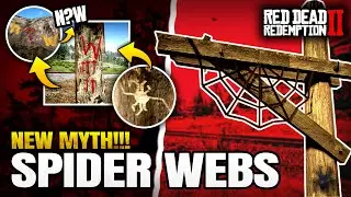Everything We Know About RDR2&rsquo;s Spider Web Mystery (NEW CLUES)