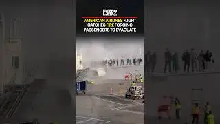 American Airlines flights catches fire forcing passengers to evacuate in Denver
