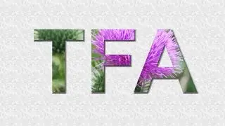 GIMP - Tutorial - Bilder im Text - Deutsch - HD