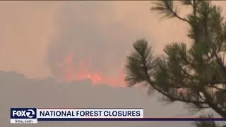 Northern California wildfires prompt closure of 9 national forests