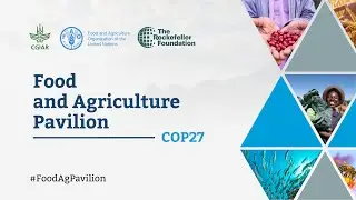 Social protection as a pathway for sustainable and inclusive climate actions in agrifood systems