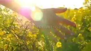 Tragic Beauty by Iris Ann Hunter - Official Book Trailer