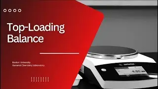 Top Loading Balance