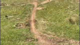 My Highlights at Mt Annan, Botanical gardens #MTB #byebyebye #Jumps #drops