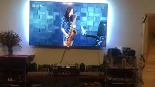 Sato horn + bass speaker tesla aro 932