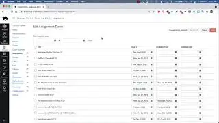 Canvas Cleanup