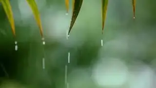 Relaxing Piano Music with Soft Rain Sounds for Deep Sleep Stress Relief & Peaceful Night Rest Music