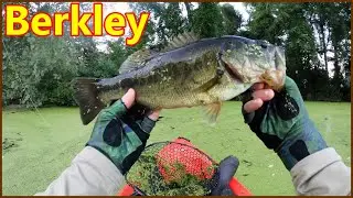 Berkley lightning casting rod test review BEST budget rods?