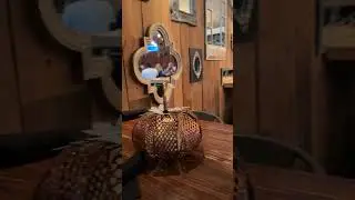 OAK Restaurant in Downtown Gainesville, FL- A StayGainesville Favorite