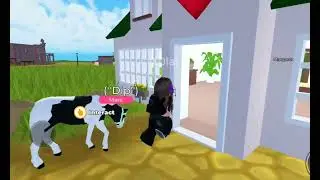 ROBLOX. Horse Valley, Breeding horses.