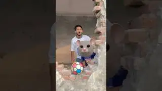 Chucky Ko Football Se Maar Diya 😂 #comady #shorts #youtubeshorts #funny #shortsfeed #chucky