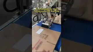ZONESUN ZS-TB160P Flat Cardboard Labeling Machine #machine #labler #labelingmachine #bottlelabeler