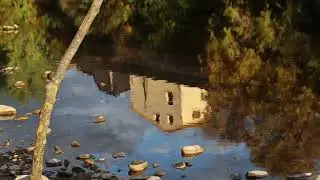 Reflets de l'automne
