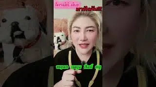 #ลัคนาราศีสิงห์ ที่โชคดีทุกทิศทางต้อนรับปีใหม่  #ใครมีดี มีเฮ 4 ลัคนามีดีที่ตัวเอง #สถานีโหราศาสตร์