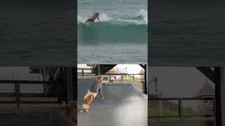 Surf Skate Compare with Surf