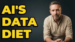What Personal Information Do AI Systems Access?