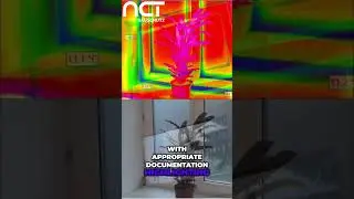 Moldy Home? Winter's Thermal Bridge Secret REVEALED!