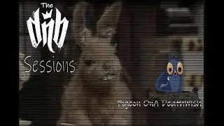 THE POADWISH - DRUM&BASE SESSIONS 12