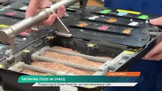Выездная презентация колледжа Пердью: выращивание продуктов питания в космосе