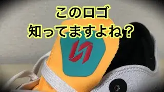 【着用レビュー】 JORDAN DELTA 3 LOW NITRO ジョーダン デルタ3 ニトロ
