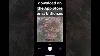 Check out Budget Plant ID on the App Store and Google Play!