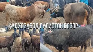 КАЛХОЗАБОД ГУЛИСТОН БОЗОР 👍 👍 