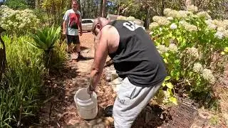 Tiger snake catch & release yeagarup.