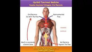 SIBO Diagnosis: Can the Breath Test Tell if Bacteria Are Friend or Foe?