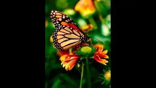 Discover your innate wellbeing