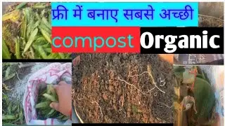 फ्री में बनाए सबसे अच्छी #ऑर्गेनिक खाद बिना कीड़े,बिना बदबू,के कम समय में #कंपोस्ट #gardenideas 