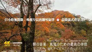 《1小時無間斷：喚醒早晨的鋼琴旋律 ⏰ 晨間儀式背景音》#獨處音樂 #清晨音樂 #冥想 #睡眠音樂 #輕音樂 #自然聲音#溪流聲 #放鬆 #空靈音樂 #心靈音樂 #深呼吸 #心靈療癒#清晨音樂