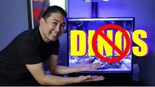 How I Finally Beat Dinos using The Green Killing Machine UV Sterilizer!