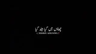 TEHZEEB HAFI ❣URDU POETRY BLACK SCREEN STATUS 🦅NAJAF.WRITES🥀