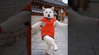 Same dance, new place 🏯#jindomimi #jindodog #aidog #dogdance #koreanvillage #dogshorts #진도미미 #viral