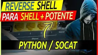 REVERSE SHELL INTERACTIVE POTENTE com PYTHON e SOCAT - KALI LINUX 2020 [Tutorial Educacional]