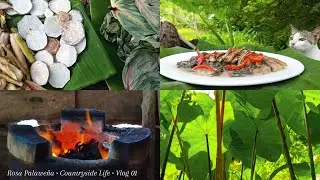 [VLOG 01] Countryside Life | Harvest Taro Plants and Cook my Favorite Filipino Dish, Laing🌴🌿🍀🍲