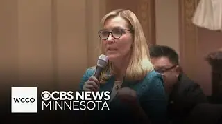 State Sen. Nicole Mitchell arrested on suspicion of burglary in Detroit Lakes