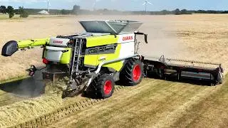 Claas Lexion 8800 with 45ft. MacDon FD245 Header harvesting grass seeds | Big Harvest