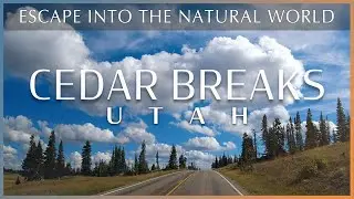 Breath a Moment of Calm to Alpine Meadows & Sandstone Amphitheaters at Cedar Breaks, Utah in 4K